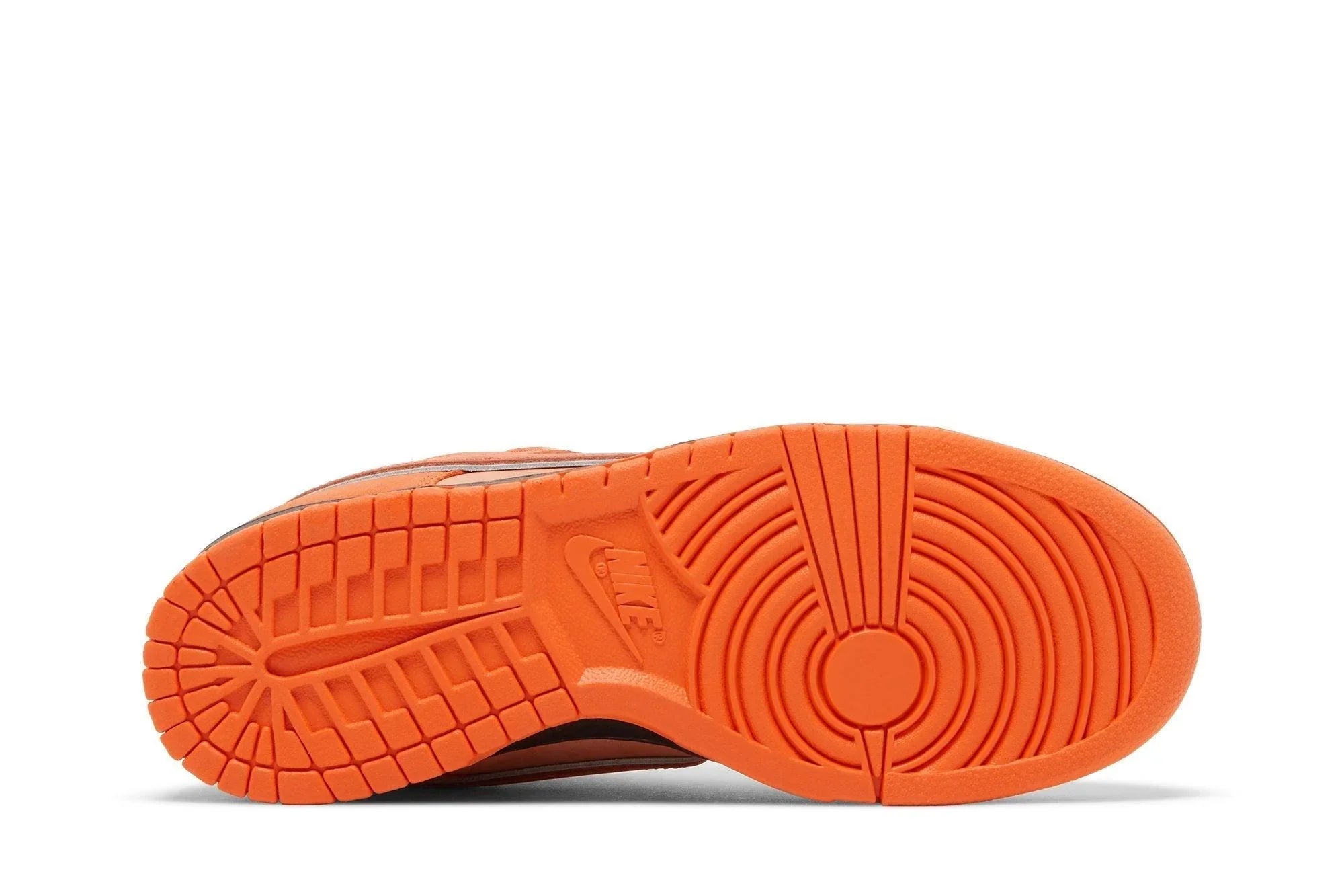 Concepts x Nike SB Dunk Low Orange Lobster Orange